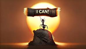 Personalised Resources & Motivation